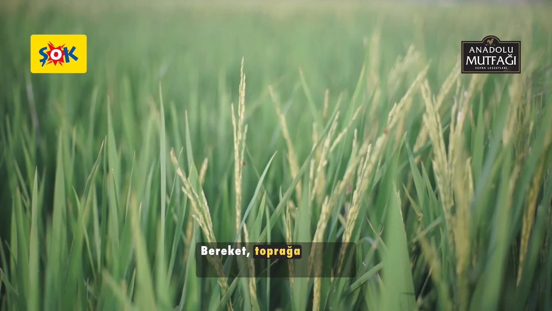 Anadolu Mutfağı: Edirne Fabrika Filmi — video poster görseli